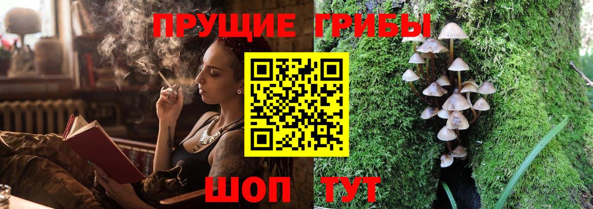 Псилоцибиновые грибы мицелий  Вход с VPN  продажа наркотиков  Миллерово  Псилоцибиновые грибы мухоморы 